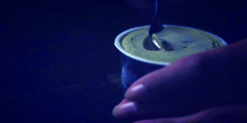 ドルチェ・ヴィータ Dolce Vita Terrie レディース ブーツ Black レザー 取寄) ドルチェヴィータ テリー Dolce Vita Terrie Chocolate Leather